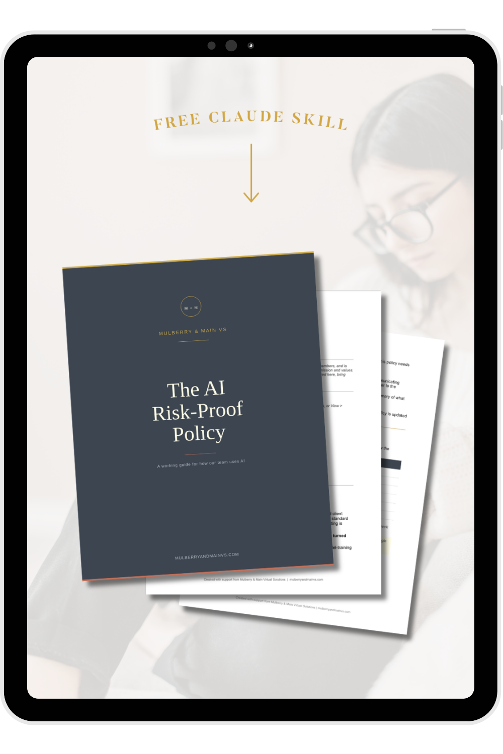 iPad preview of The AI Risk-Proof Policy skill output